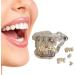 Model of Tooth Disorders Transparent Adult Teeth Dental Model of Teeth Tooth Removable Prosthetics Teeth Demonstration Model for Teaching Transparent
