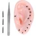 Buhb Blackhead Toys & Ear Tools - Realistic Stress Relief & Anxiety Reduction Tweezers | Reusable Fun for All Ages - Buy Online on GoSupps.com