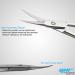 Nail Scissors Professional Cuticle Scissors Extra Strong Straight Curved Manicure Nail Art Scissors (CS-04) - Buy Online on GoSupps.com