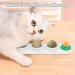Buy Aucenix Catnip Balls - 4 Natural Dental Toys for Cats & Kittens | Tooth Cleaning & Licking Fun - Buy Online on GoSupps.com