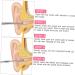 3pcs Stainless Steel Ear Cuffs Ear Cleaner Set with Ear Wax Remover - Silver - Buy Online on GoSupps.com