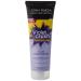 John Frieda Violet Crush Silver Conditioner 250ml - Tone Balancer for Blonde Hair - International Shipping Available - Buy Online on GoSupps.com