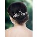 Venusvi Bride Wedding Crystal Hair Pins - Pack of 2, Silver Rhinestone Bridal Hair Accessories for Women and Girls - Buy Online on GoSupps.com