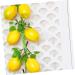 Abaodam 4 Bunches Imitation Lemon Skewers Toys Lemons Fruit Front Door Wreath Hanging Lemon Decor Model Girl - Buy Online on GoSupps.com