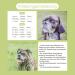 Canimove Senior Mini - 100 Capsules | Veterinary Supplement for Eye & Brain Health | Buy Internationally - Buy Online on GoSupps.com