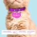 Ibera Gifts - Personalized Engraved Cat Head Name Tag Medallion for Small to Large Cats - Fuchsia Collar Plaque - Buy Online on GoSupps.com