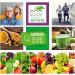 Ecostream Naturals Vital First Daily Greens Superfood Powder - 30 Servings - Buy Online on GoSupps.com