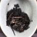 Th noir Th noir du Hunan The Antifatigue Jinhua Fu 338g Th en brique chinois Nature - Buy Online on GoSupps.com