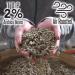 Door County Coffee - Chocolate Raspberry Truffle Ground Coffee 10oz Bag - Buy Online on GoSupps.com