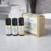 Ellia Essential Oil Set - Breath Deep with Peppermint & Blends | 3 Pack 10ml Essential Oil Kit for Easy Breathing by Homedics - International Shipping - Buy Online on GoSupps.com