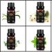 Aromatherapy Chamomile Essential Oil Set for Air Freshener 100% Pure Vetiver Essential Oils for Diffuser 100% Pure Peppermint Oils Set 4x10ml Aromatherapy Eucalyptus Oils Set for Humidifier - Buy Online on GoSupps.com