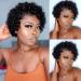 Pixie Cut Wig Short Curly Human Hair Wigs 4X4 Lace Closure T Part Wave Wet and Wavy Wig Jerry Curly Wig with Natural Hairline for Black Women T Lace Short Curly Wig 6 Inch