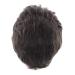 Ansenesna Brown Short Wig for Men - Afro Curls Gray Hair Wig | Stylish & Comfortable - Buy Online on GoSupps.com