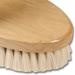 WALDHAUSEN Cuddle and Shine Brush - Small Brown | Premium Grooming Tool for Pets | Fast International Shipping - Buy Online on GoSupps.com