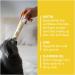 GimCat Cheese Biotin Paste | Cheese, Zinc, and Linseed Oil Blend for Coat, Skin, and Claws | 100g Tube - Buy Online on GoSupps.com