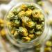 Tisane chinoise Th de chrysanth me sauvage Nouveau th parfum Th vert Soins de sant Fleurs th Top-Grade Healthy Green Food (250) - Buy Online on GoSupps.com