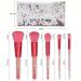 5 Pc Portable Makeup Brushes Set with Storage Bag | Professional Eyebrow Eyeshadow & Foundation Brushes for Daily Use | International Shipping Available - Buy Online on GoSupps.com