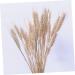 RORPOIR Decorative Artificial Flower Color Dried Wheat Bouquets 15pcs Home Decor Natural Dried Flowers Wheat Artificial Flower Wheat Sheaf Bundle DIY Home Decor - Buy Online on GoSupps.com