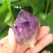 Raw Natural Rough Amethyst Crystal Quartz Stone 1-5pcs Suitable for Home Raw Stones and Minerals dingchi Stone Mineral Specimen (Size : 240-280g) - Buy Online on GoSupps.com