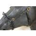 Buy PS Horse French Cavesson Cavecon with D-Rings - Soft Full Brown with Gold Fittings | International Shipping Available - Buy Online on GoSupps.com