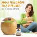 Garden of Life Sweet Orange Essential Oil - 100% Organic, Pure & Non-GMO - 0.5 Fl Oz for Diffuser & Aromatherapy - Buy Online on GoSupps.com