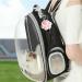 Dasfie USB Rechargeable Training Chaser Interactive Toy Pointer 5 Adjustable Patterns Interactive Cat for Indoor Cats Dogs Pets White - Buy Online on GoSupps.com