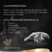 Sheba Selection in Sauce - Beef Chunks Cat Food for Adult Cats | 22 x 85g - Premium International Shipping - Buy Online on GoSupps.com