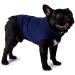 Anti-Fear Dog Jacket - Stress Reduction Shirt | Calm & Warm Thunder Wrap for Dogs - Dark Gray (Large) - Buy Online on GoSupps.com