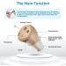 Rechargeable Mini Hearing Aids for Seniors - Noise Cancelling & Invisible Design - Buy Online on GoSupps.com