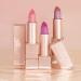 Oulac Bronze Shimmer Lipstick for Women - Moisturizing Tinted Lip Balm with Shea Butter - Vegan Gluten-Free Formula for Hydrated & Smooth Lips - Precious Moment (PG06) - Buy Online on GoSupps.com