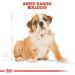 Royal Canin Dog Food Bulldog Puppy 12Kg - Buy Online on GoSupps.com