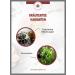  Lerbs & Hagedorn Lerbs & Hagedorn Pure Nanamine Cut Herbs | 1.5 kg (approximately 122 litres) - Buy Online on GoSupps.com