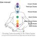 PRiSMA SpektroChrom CHAKRA Change Set - 7 Color & 13 Chakra Healing Tools for International Shipping - Buy Online on GoSupps.com