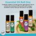 Wild Essentials Autumn Dance Essential Oil Roll On 10ml - Pure & Organic for Warmth Comfort & Airway Support | All-Natural Moisturizer - Buy Online on GoSupps.com