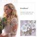 Edary Bridal Wedding Vine Gold Rhinestone Headpiece - Flowers & Leaves Accessory for Women & Girls | International Shipping Available - Buy Online on GoSupps.com