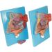 Nasal Cavity Model - Anatomical Nasal Cavity Model - Turbinate in The Lateral Wall of The Nasal Cavity Enlargement Model - Buy Online on GoSupps.com