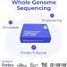 Nebula Genomics Deep Genetic Test Kit - Health & Ancestry DNA Test with Whole Genome Sequencing - Buy Online on GoSupps.com