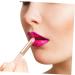 HONMEET Lip Blending Brush Lip Gloss Makeup Brush Lip Wands Lip Smudge Brush Lip Brush Wand Lip Brush for Women Makeup Tools Lip Lip Makeup Lipstick Brush Aluminum Tube - Buy Online on GoSupps.com