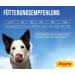 Josera Meat Lovers Pure Lamb Wet Dog Food | Cereal-Free High Meat Content | 6 x 400 g Pack | Delicious Lamb & Juicy Broth - Buy Online on GoSupps.com