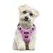 Funfox dog harness Small dogs no pull puppy harness adjustable dog harness Anti Zug safety harness Small medium dog breast harness dog breathable dog harness pink s