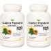 Saheli Biotrex Nutraceuticals Carica Papaya Leaf Extract Powerful Anti-oxidants (500 mg 60 Capsules)- Pack of 2