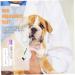 Dog Pregnancy Kit - Early Pregnancy Test Strip for Dogs - Health Products & Tools - Buy Online on GoSupps.com