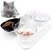 NAODONGLI Elevated Cat Bowls,Double Cat Dog Bowls,15Tilted Raised Cat Bowls,Protective Cat Feeder Bowl for Cats and Small Dogs Double Bowls 4 BWTT