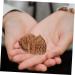 Foytoki Walnut Massage Roll Balls - Stress Relief & Fitness | Wooden Baoding Balls for Adults - Buy Online on GoSupps.com