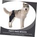 GANAZONO Dog Hindleg Cover Paw Butter Balm for Dogs Comfy Brace Dog Rear Leg Splint Care Elbow Pads S As Shown - Buy Online on GoSupps.com