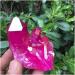FUERLI Red Flame Natural Plating Titanium Coated 120-140g Beautiful HOMEZHOU - Buy Online on GoSupps.com
