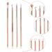 4PCS Acne Remover Tool Set - Stainless Steel Rose Gold Blackhead Extractor for Blemishes Whiteheads & Pimples - Buy Online on GoSupps.com