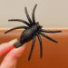 4 Pcs Spider Hair Clips Punk Spiders Shape Hair Barrettes Halloween Hairpin Gothic Spider Barrettes for Women Girls - Buy Online on GoSupps.com