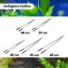 Terra Exotica Food Tweezers (60 cm) - Rubberized Feeding Aid for Reptiles & Amphibians | Stainless Steel | Starting at 3.49 - International Shipping - Buy Online on GoSupps.com