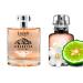 Lazell Liberated Give Me for Women Perfume | Impression by L'Interdit | Eau De Parfum 3.4 Fl Oz | Floral Oriental Fragrance | European oncentrated Scent Lasts 6-9 Hours